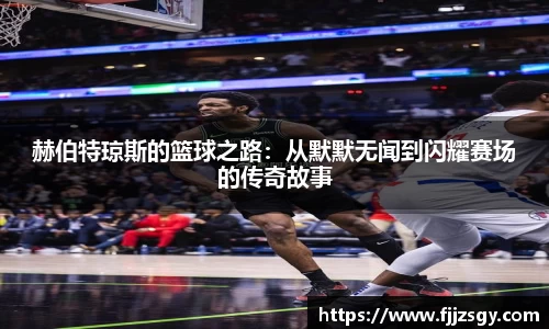 球速体育平台入口